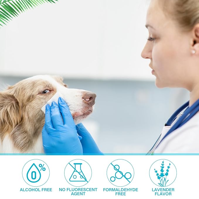Treela 10 Packs of 80 Dog Wipes Pet Wipes Cat Grooming Supplies for Paws, Butt, Ear, Skin, Body Bath Cleaning Stain Odor Remover, Home or Travel Use(Coconut)