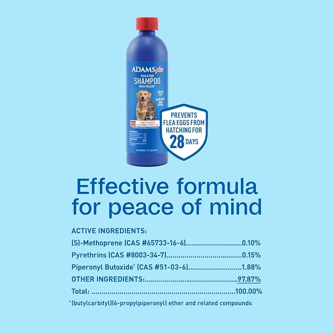 ADAMS Plus Flea & Tick Shampoo with Precor for Dogs, Cats, Puppies & Kittens, Flea Shampoo to Treat Flea Infestations, Kills Ticks, Fleas, Flea Eggs & Lice, Cleans and Conditions Coat, 12 Ounces