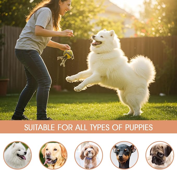 Korean Plant Based Vegan Dog Tear Stain Cleaner 100 ml – Gentle & Effective Eye Stain Remover for Dogs – Non-Irritating Facial Cleanser, with hyaluronic Acid, Cruelty-Free Pet Eye – Made in Korea