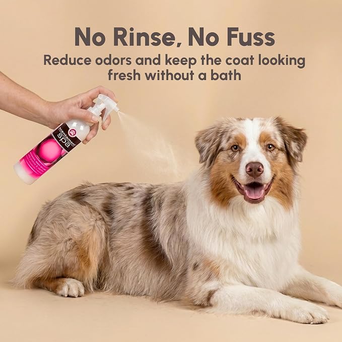 Best Shot Scentament Spa Botanical Body Splash, Detangler Spray, Body Spray for Pets, Cat and Dog Cologne Spray, Wild Orchid Vanilla, 8 Oz.