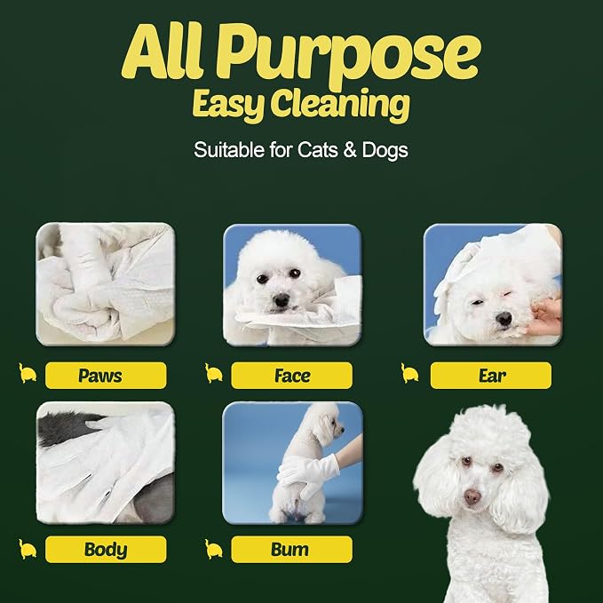 Petazy Pet Wipes for Dogs and Cats – 400 Count (8x8in) Hypoallergenic, Deodorizing Dog Wipes for Paws, Ears and Butt | XL with Aloe & Coconut Oil, Unscented | Includes 4 Grooming Glove Wipes