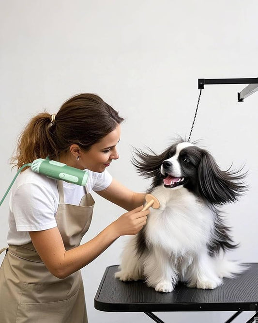 L&W BROS Hands-Free Dog Dryer – Neck Hanging Pet Hair Dryer for Grooming, 110,000 RPM Powerful Airflow, Low Noise, Overheat Protection, Adjustable Heat & Speed for Small & Medium Dogs & Cats (Green)