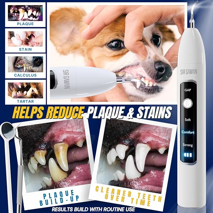 SIRGAWAIN Pet Ultrasonic Dental Cleaner — Plaque, Tartar & Stains Remover, 4 Tips, 3 Modes, LED, Contact-Activated & Smart Touch Protection, Complete Cleaning Kit for Dogs & Cats (White)