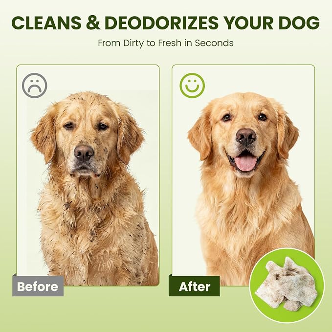 Hypoallergenic Pet Wipes for Dogs, Cats & Small Animals – Quick Clean & Deodorize Paws, Butt, Eyes, Face & Fur | Daily Grooming Wipes | Extra Large & Thick | Coconut Scented, 100 Count