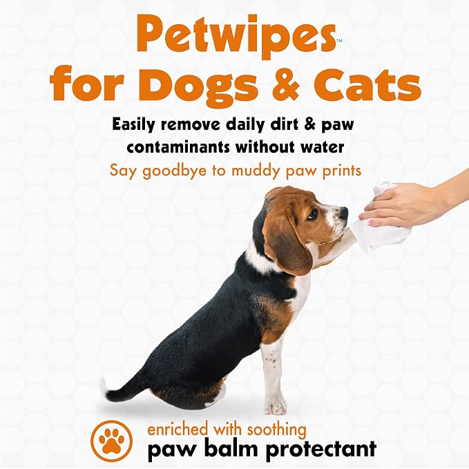 Petkin Big N' Thick Paw Wipes for Dogs, 100 Large Wipes (4 Pack) - Clean Dirty Paws After Walks, with Paw Balm Protectant - Keep Floors and Furniture Clean - Ideal for Home or Travel - Orange Scent
