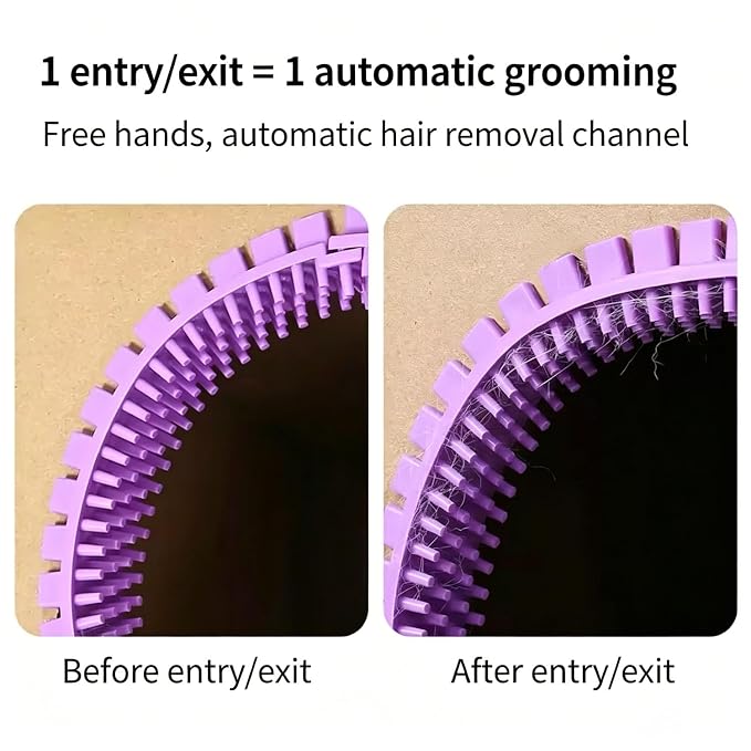 3-Pack Cat Self Groomer for Cardboard Box, Scratch Brushes with Box, Interactive Cat Arch Self Groomer with Scratching Pad, DIY Grooming Brush Ring, Hideouts & Enrichment Play (Purple Pink Yellow)
