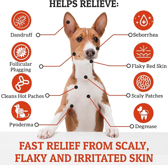 Truseb Clinically Medicated Benzoyl Peroxide 3% Shampoo for Dogs, Cats Horses - Helps Relieve Folliculitis, Dandruff, Oily & Flaky, Red, Itchy Skin–Deep Cleansing & Deodoriz-Passion Fruit Scent-12 oz