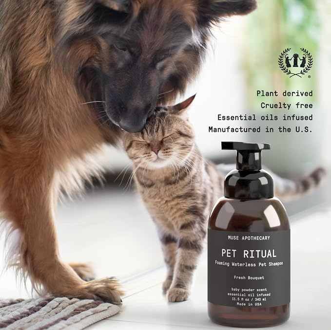 Muse Apothecary Pet Ritual Foaming Waterless Shampoo for Dogs, Waterless Dog Shampoo Foam, No Rinse Dog Shampoo, Waterless Dog Shampoo for Large Dogs - Essential Oils Infused, 11.5oz Oatmeal + Mango