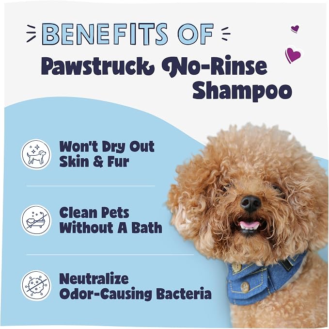 Pawstruck Natural No-Rinse Dry Shampoo for Dogs, Puppies, & Other Pets, Citrus & Rosemary - Waterless Deodorizing Spray Made in USA to Freshen & Remove Odors - 16 fl oz - Packaging May Vary