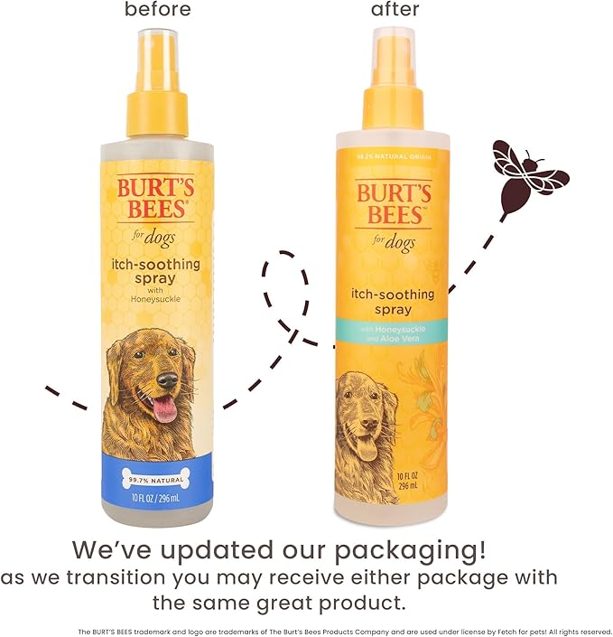 Burt's Bees for Pets Anti Itch Dog Spray with Honeysuckle and Honey, Waterless Grooming Mist for Dry Flaky Skin, Dog Itch Relief Between Baths, Natural Origin Coat Care for Dogs, 10 Fl Oz