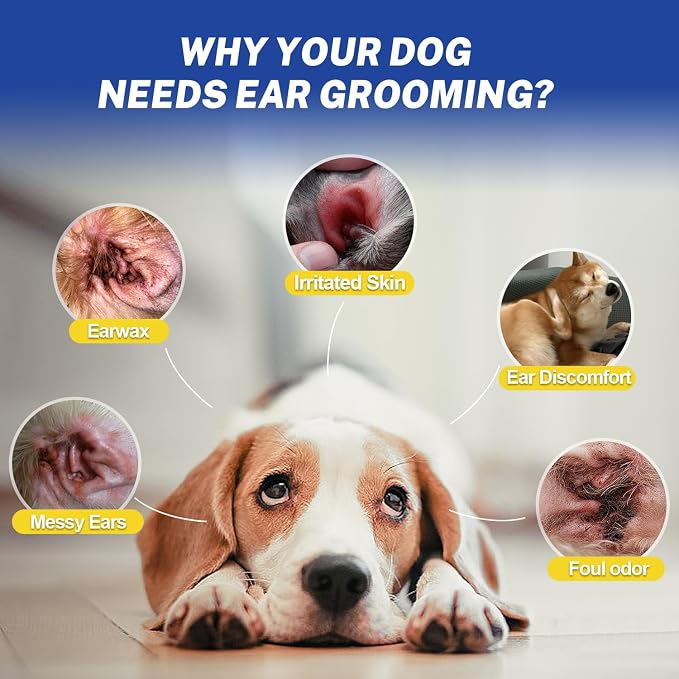 Dog Ear Hair Removal Tool with Ear Powder – 5.5” Curved Locking Forceps – Helps Remove Excess Ear Hair, Absorb Moisture & Reduce Odor for Poodles, Schnauzers, Shih Tzus & Cocker Spaniels