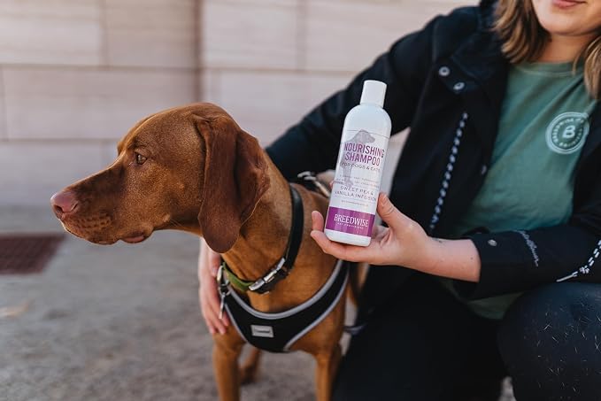 Breedwise Dog and Cat Shampoo - Hydrating Gentle Cleanse for Sensitive Skin - Supportive Flea and Tick Care - Sweet Pea & Vanilla Scent - 12oz - Made in USA