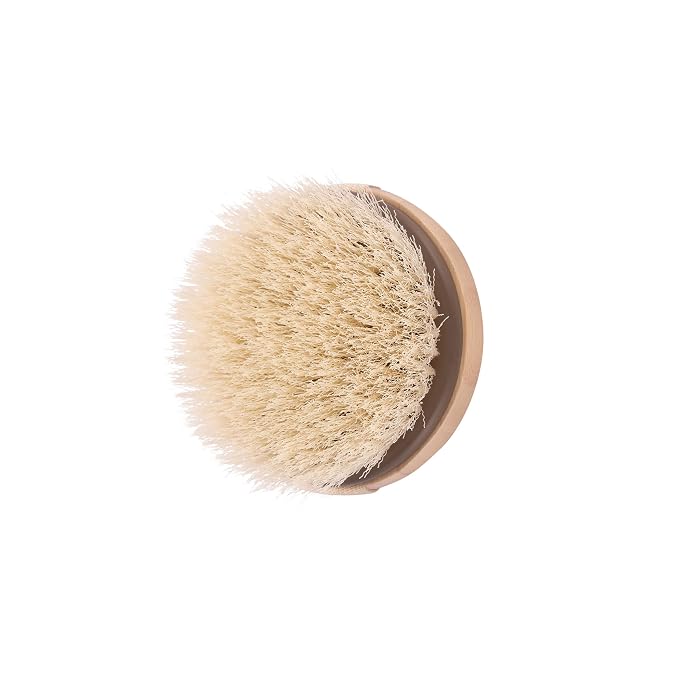 EcoTools Dry Body Brush, For Post Shower & Bath Skincare Routine, Removes Dirt & Promotes Blood Circulation, Helps Reduce Appearance of Cellulite, Eco-Friendly, Vegan & Cruelty-Free, 1 Count
