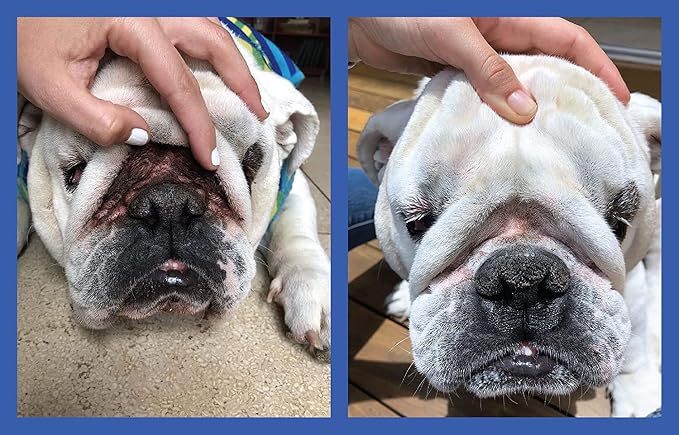 Squishface Silicone Applicator for Dog Wrinkle Paste & Tear Stain Cream