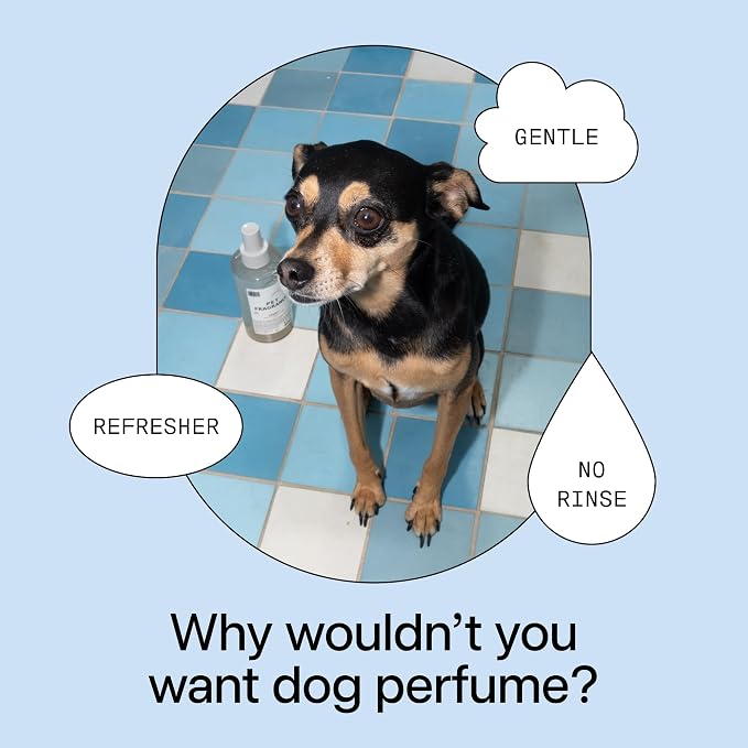 DedCool Pet Fragrance | 01 Taunt | Clean Luxury Pet Perfume for Dogs | Long-Lasting Deodorizing Spray | Non-Toxic, Vegan | 8.5 fl oz