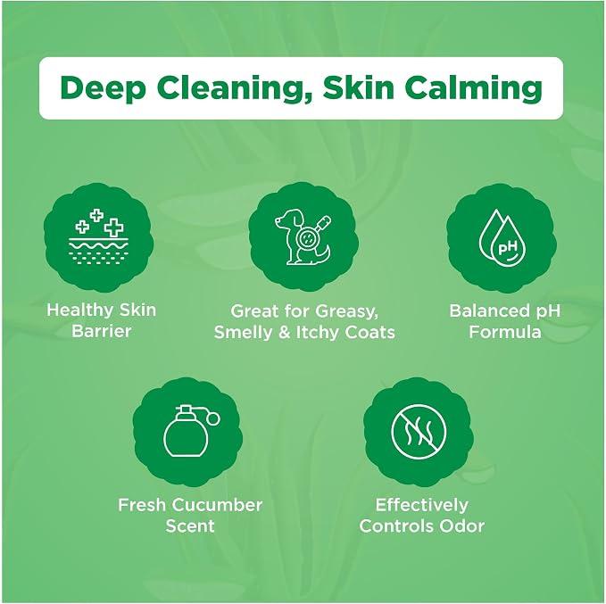 DermaFoam Dog Shampoo 16 oz | Pet Supplies for Odor Control & Greasy Coats – Sulfate Free Moisturizing Formula Pet Shampoo, Fresh Cucumber Scent 500ml