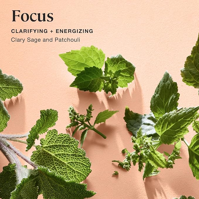 Sprig by Kohler Clary Sage + Patchouli Bath Bomb, Hypoallergenic, Made with Natural Botanicals & Premium Skincare Ingredients (Shea Butter, Coconut Oil, & Kaolin Clay) to Clarify and Energize - Focus