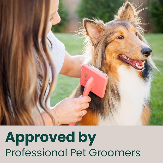 Slicker Brush for Dogs - Long Pin for Poodles, Doodles & Long Haired Dogs, Deshedding & Dematting Tool, Slicker Dog Brushes for Grooming (Coral, Flat Small)