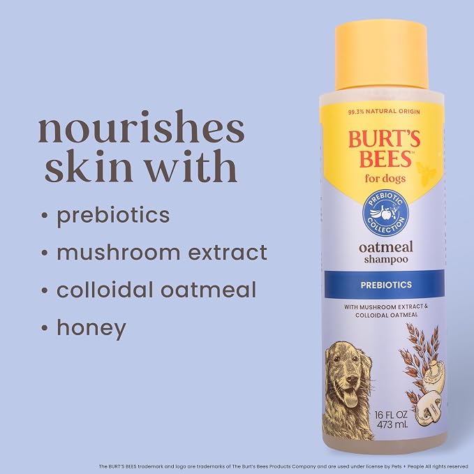 Burt's Bees for Pets Oatmeal Shampoo for Dogs, Prebiotics Collection with Mushroom Extract & Colloidal Oatmeal, Naturally Derived Dog Shampoo Itchy Skin Relief, 16oz