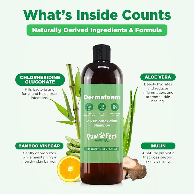 DermaFoam Dog Shampoo 16 oz | Pet Supplies for Odor Control & Greasy Coats – Sulfate Free Moisturizing Formula Pet Shampoo, Fresh Cucumber Scent 500ml