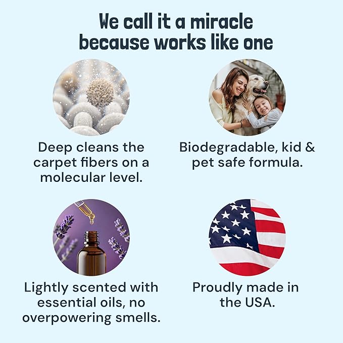 Sunny & Honey Carpet Cleaner Shampoo Solution for Machines, 32floz Lavender | USA Made - Stain and Odor Eliminator - Cleans Carpets and Upholstery - For Upright and Spot Cleaners - Concentrated Formula