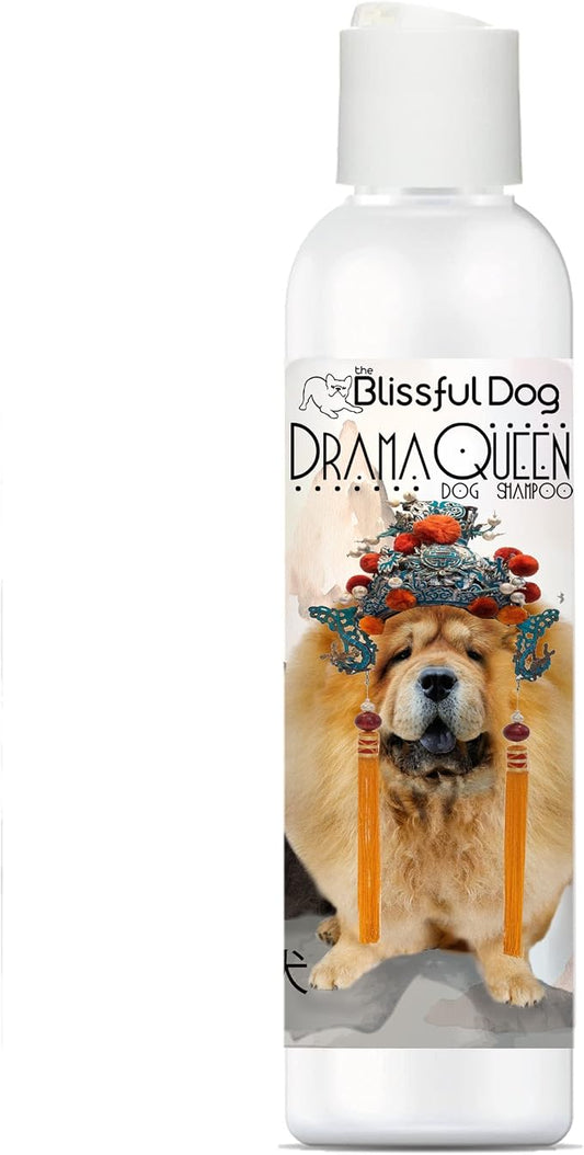 The Blissful Dog Chow Drama Queen Dog Shampoo, 16 oz.