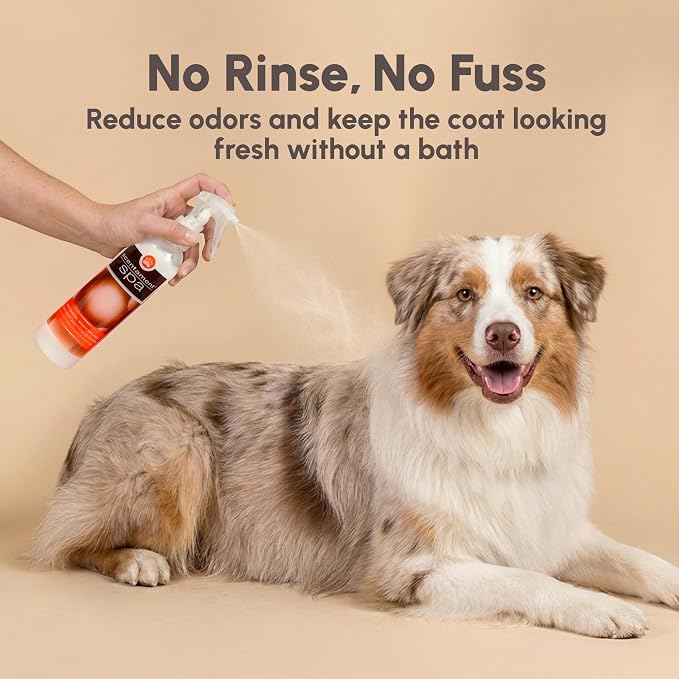 Best Shot Scentament Spa Botanical Body Splash, Detangler Spray, Body Spray for Pets, Cat and Dog Cologne Spray, Mandarin Jasmine Honey, 8 Oz.