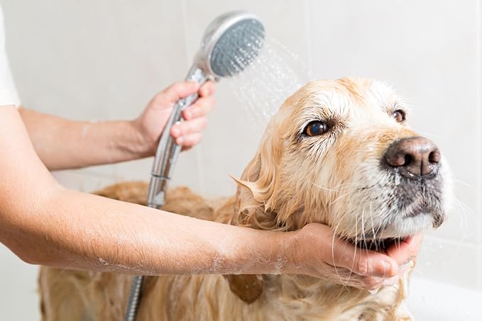 PET SILK Liquid Silk Serum, Leave-in Finishing Spray Conditioner & Detangler, Inused with Silk, Vitmain E & Panthenol Designed for a Shiny, Healthy & Moisturized Skin & Coat (2oz)