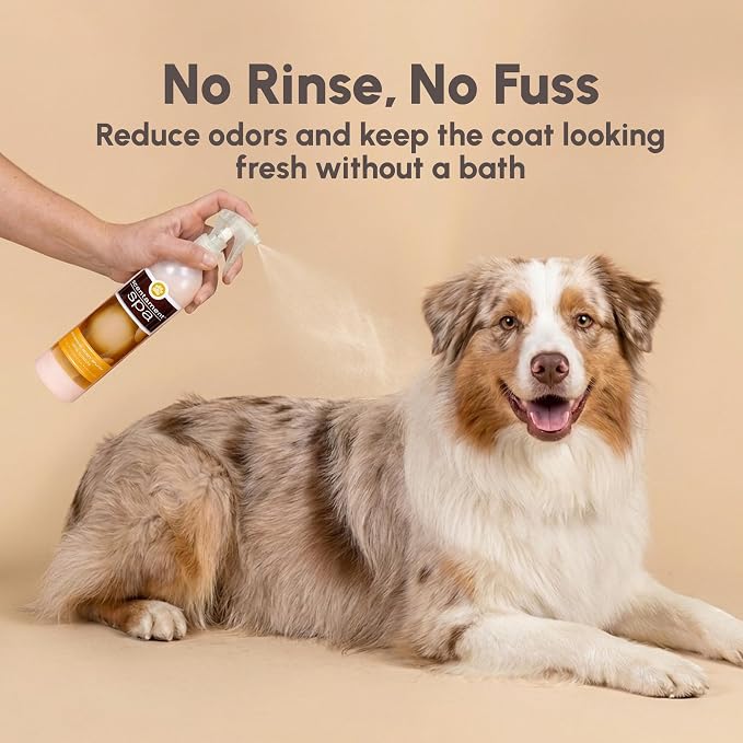 Best Shot Scentament Spa Botanical Body Splash, Body Spray Conditioner for Pets, Cat and Dog Cologne Spray, Alcohol-Free, Ready-to-Use Detangler Spray, Pina Colada, 8 Oz.