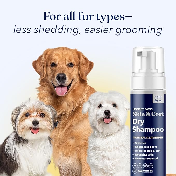 Honest Paws Dog Dry Shampoo - Waterless No Rinse Foaming Formula Reducing Itch Cleanse Hydrate Nourish Dry Skin and Smelly Coat Help Decrease Odor Shedding and Allergies - Oatmeal & Lavender - 6.3 oz