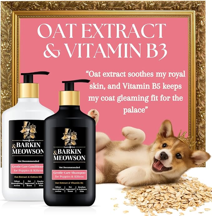 Barkin & Meowson Puppy & Kitten Gentle Shampoo with Oat Extract 11.83 fl oz | Gently cleanses sensitive skin & coat. pH balanced, paraben & sulphate free. Vet recommended
