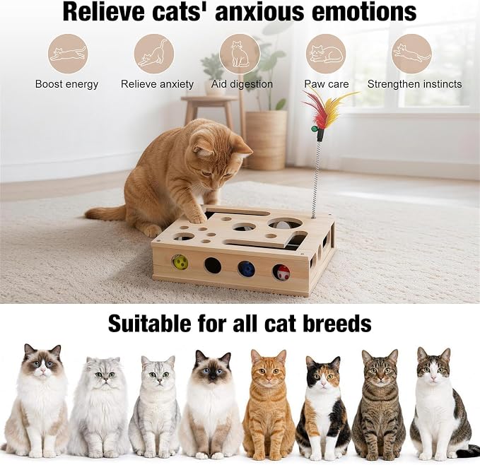 Cat Nail File Enrichment Box for Indoor Cats Solid Wood Cat Scratcher with Built in Sandpaper Self Grooming Puzzle Toy Stress Free Alternative to Cat Nail Clippers & Grinders