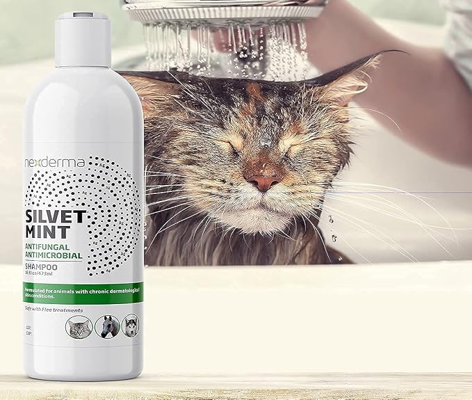 NEXDERMA Natural Colloidal Medicated Pet Shampoo for Dogs and Cats - Tearless Hypoallergenic, Soap Free with Coconut Oil and Mint, Relief for Allergies, Odor, Itchy, Dry, Irritated Skin - 16oz, 1Pack