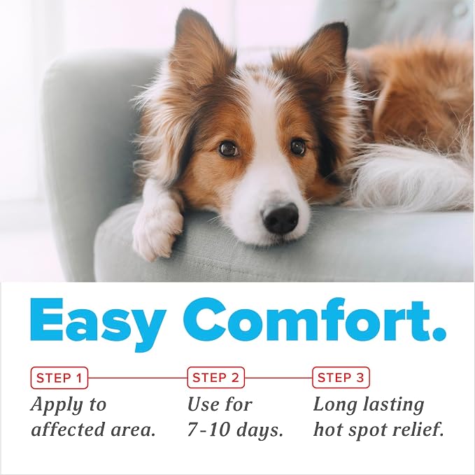 OxyMed Hot Spot Spray for Dogs, Skin Comfort Grooming Spray with Chlorhexidine, Lidocaine & Oatmeal, Fragrance Free, 8oz