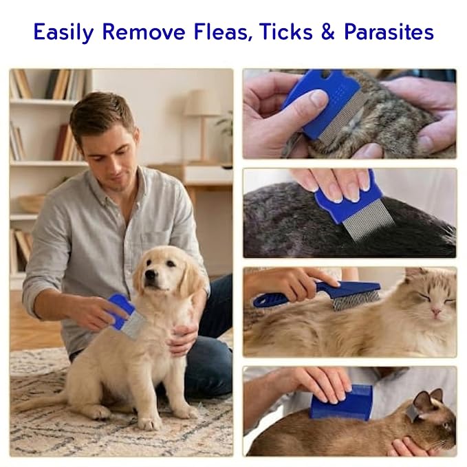 Evollax Flea Lice Comb – 6 Pack Flea Comb for Cats Dogs Remove Fleas Lice Eggs Stainless Steel Cat Dog Grooming Comb | Tear Stain Remover Dog Eye Comb | Dematting Comb for Dogs Ideal for all pet Size