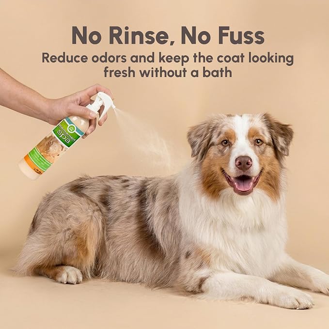Best Shot Scentament Spa Botanical Body Splash, Detangler Spray, Body Spray for Pets, Cat and Dog Cologne Spray, Mango Maui, 8 Oz.