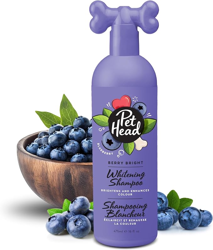 Pet Head Berry Bright Whitening & Colour Enhancing Dog Shampoo | Blueberry Scent | for Brightening White and Light Dog Coats | Neutralizes Yellow and Brassy Tones | Suitable for Puppies | 16 fl. oz.