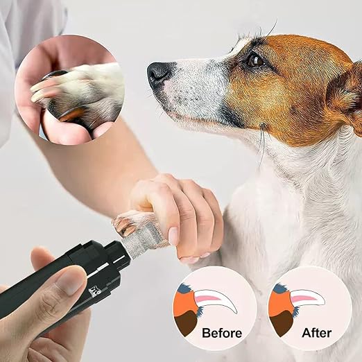 Diamond Dog Nail Grinder Bits - FOCSTOL Diamond Rotory Bit for Dogs&Pets, 1/8'' Rotary Nail Grinder Bits for Animals Nail Care (Type E)
