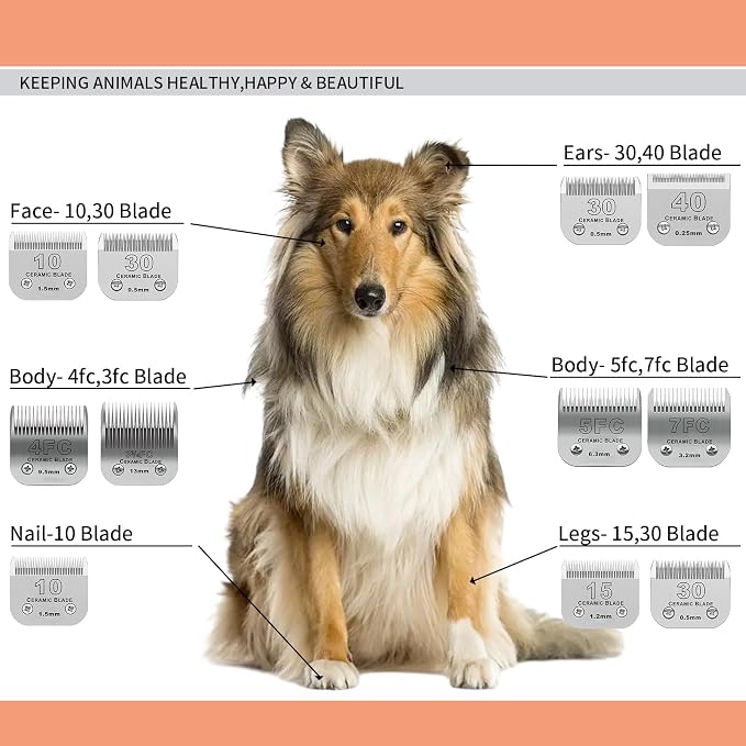 4FC Dog Grooming Ceramic Blades,Compatible with Andis,Oster A5,Wahl KM10 | Size 4FC Detachable Blade 3/8-Inch 9.5MM Cut Length,3 Pack