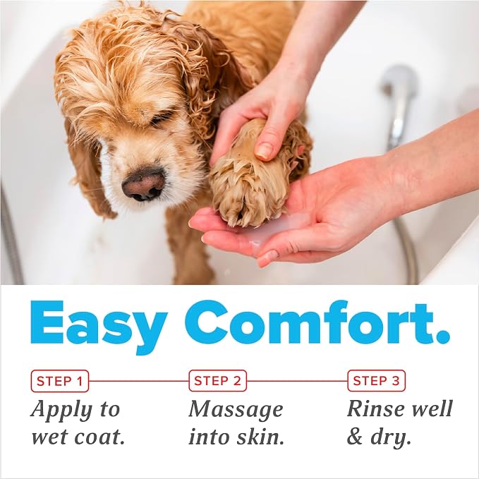 OxyMed Medicated Antifungal Dog Shampoo, Yeast Dermatitis Treatment for Dogs, Deep Cleaning & Healing Formula with Miconazole, Zinc & Oatmeal, 20oz