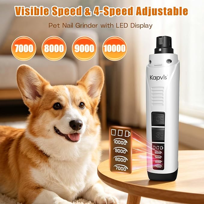 Dog Nail Grinder with Replacement Heads, Digital Display & LED Light, 2.5Hr Charge for 480Min Use, 10000RPM Quiet Motor for Large Medium Small Dogs and Cats