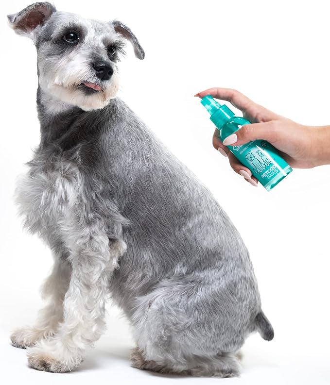 PETCODE PAWS Conditioning & Waterless Shampoo with Argan Oil for Dogs & Cats - Natural Formula with Vitamin-E & Aloe-Vera for No-Rinse Grooming & Dog Cleansing with Lavender Vanilla Cedar Sent - 100ML