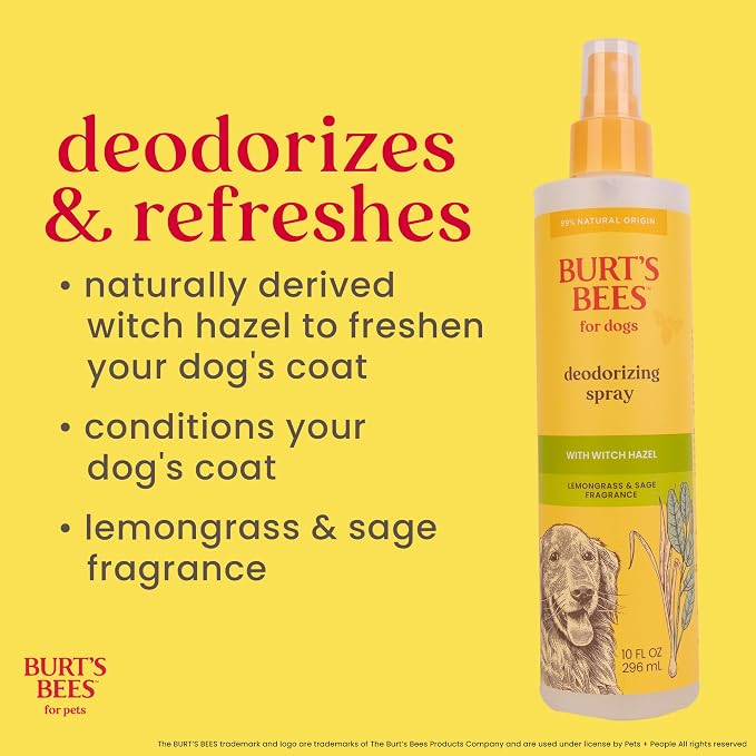 BURT'S BEES FOR PETS Deodorizing Spray for Dogs with Witch Hazel, Lemongrass & Sage, 99% Natural Origin Formula, Gentle Waterless Dry Dog Shampoo for All Dogs, 10 Fl Oz