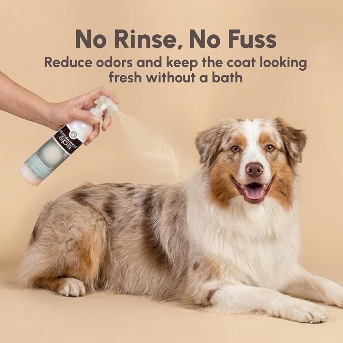 Best Shot Scentament Spa Botanical Body Splash, Body Spray For Pets, Cat And Dog Cologne Spray, Cucumber Melon, 8 Oz.