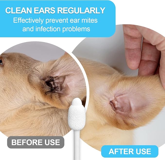 Large-Head Dog Ear Swabs, Gourd Cotton Tips, 130 pcs | Soft cotton-paper sticks in sealed packs for folds, paws, post-play cleanup, bathroom or travel.