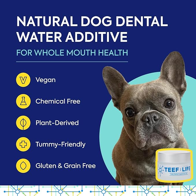 Teef For Life Protektin42 Plant-Derived Prebiotic Dental Powder for Dogs, Daily Dental Care, Clinically-Proven Formula Naturally Fights Plaque and Tartar, Dental Kit with 180 Servings