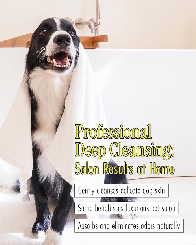 BRMUD Relief Mud Shampoo for Dogs | Soothing, Hypoallergenic, Tearless Deodorizing Dog Shampoo w/Nourishing Extracts | for Dogs & Puppies (16.9 fl oz)