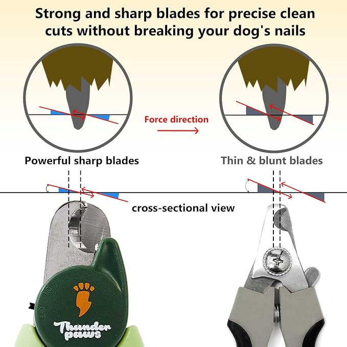 LED Dog Nail Clippers with Light Illumination, Trimmers with Protective Guard, Safety Lock and Nail File - Suitable for Large and Small Dogs & Cats (Green)