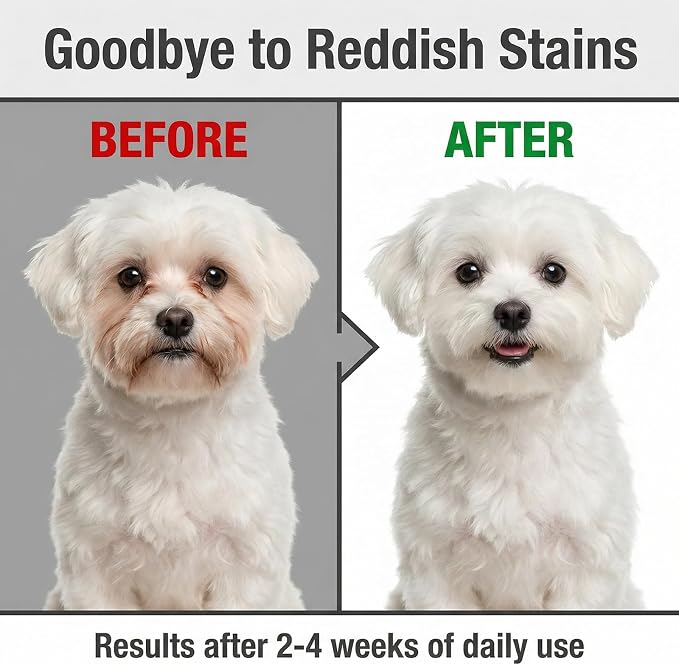 4-Piece Dog Tear Stain Remover Kit - Natural Eye Gunk Balm (1 oz) with Pro Brush & 2 Grooming Combs (Fine-Tooth & Paw-Print Design) - Safe for White Dogs, Cats, Daily Eye Cleaning