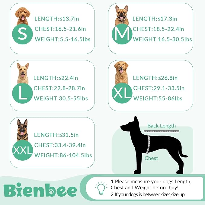 Bienbee Dog Bathrobe, Quick Drying Super Absorbent Pet Robes for Small Medium Large Dogs, Drying Coat for After Bath & Swim, Warm & Cozy Dogs Towels, Dog Puppy Bath Supplies, Green M